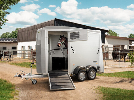 Pferd im Humbaur Notos | © Humbaur GmbH Braunes Pferd steht im Pferdeanhänger Humbaur Notos. | © Humbaur GmbH